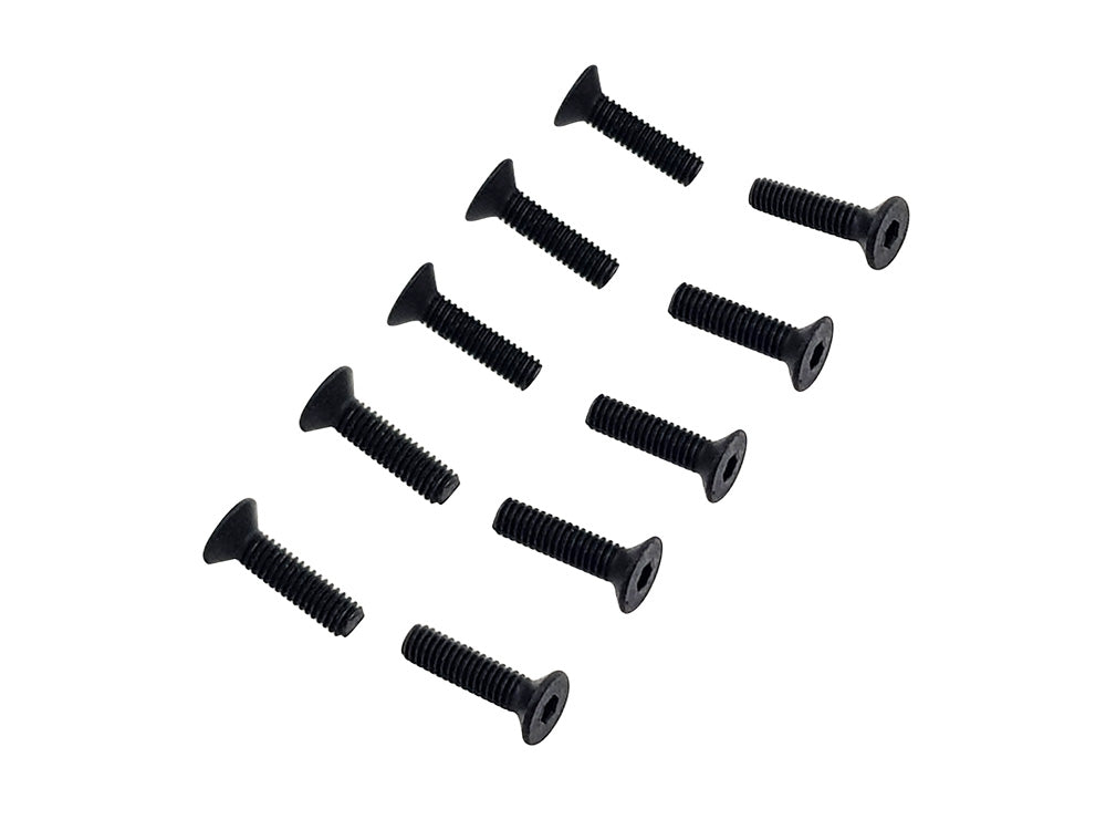 FLAT HEAD CAP SCREW M2.5 X 10 - Raw 420 Competition/iLGoblin 420 Pro