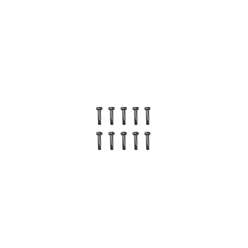 Goosky S2/RS4 Screw Set M2x10mm-L4