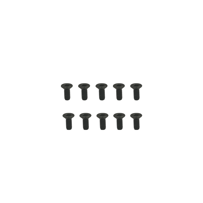 Goosky RS4 Screw Set M2x4mm