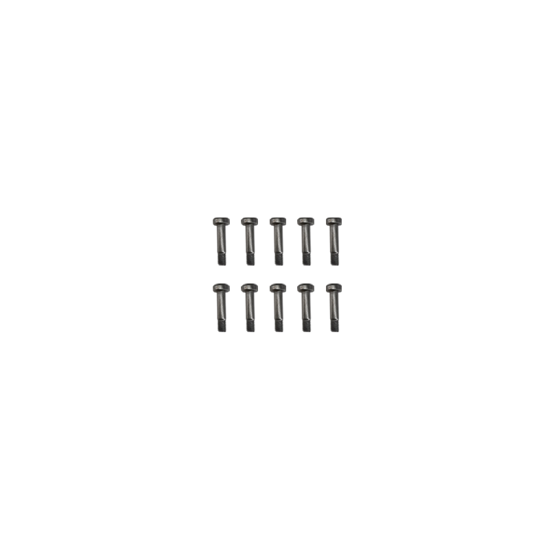GooSky RS4 m2x12-L4 Socket Head Screw