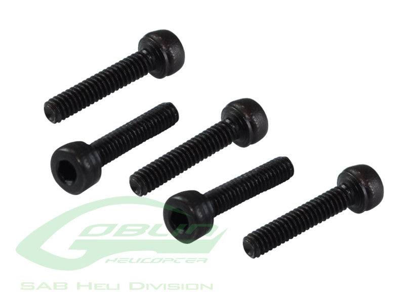 DIN 12.9 Socket Head Cap M2 x 10 (5pcs) - RAW 420 COMPETITION / Goblin 770/Raw 500/iLGoblin 520 Pro/420 Pro