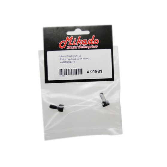 01981 Socket head cap screw M6x12