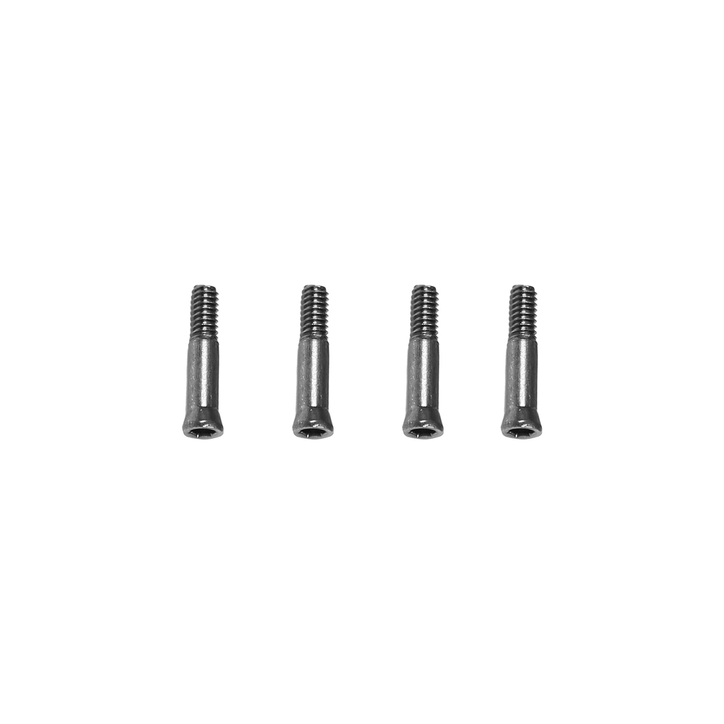 Screw M2x10.5mm - M4 Max