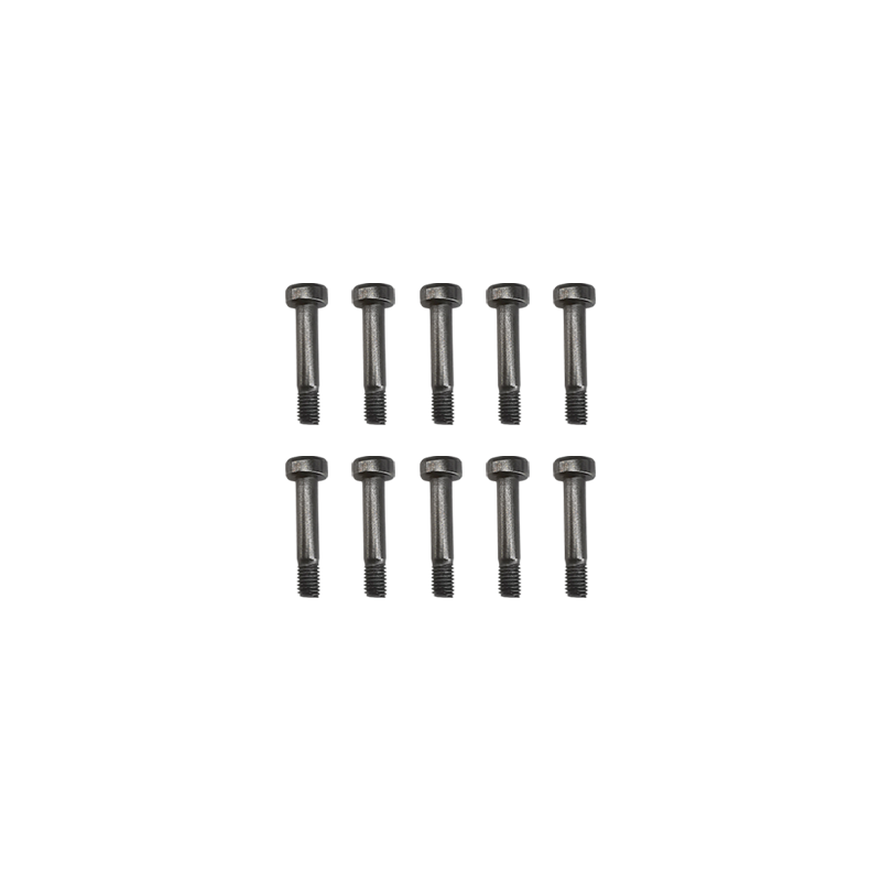 Goosky RS4 Screw Set M2.5x15mm-L4